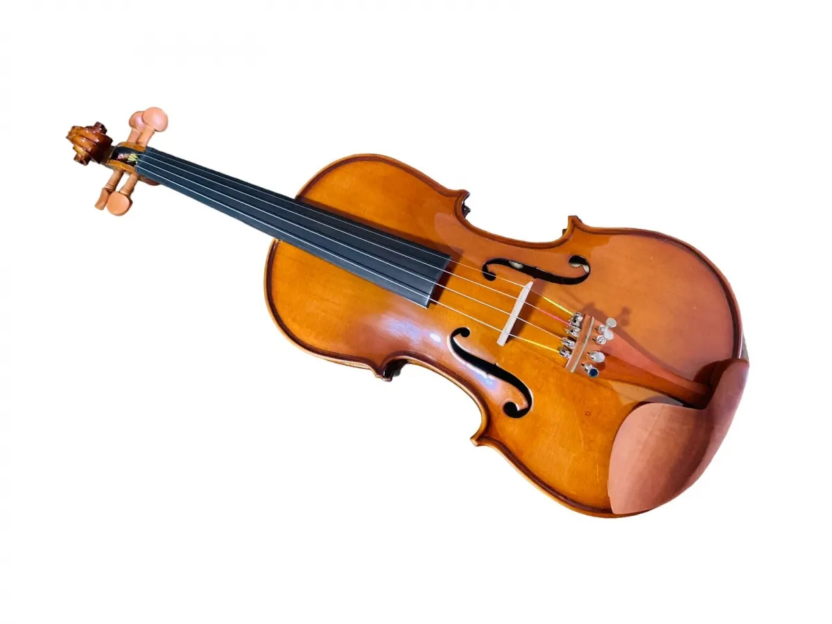 VIOLINO EAGLE VE-441 CLASSIC SERIES - Imagem 2