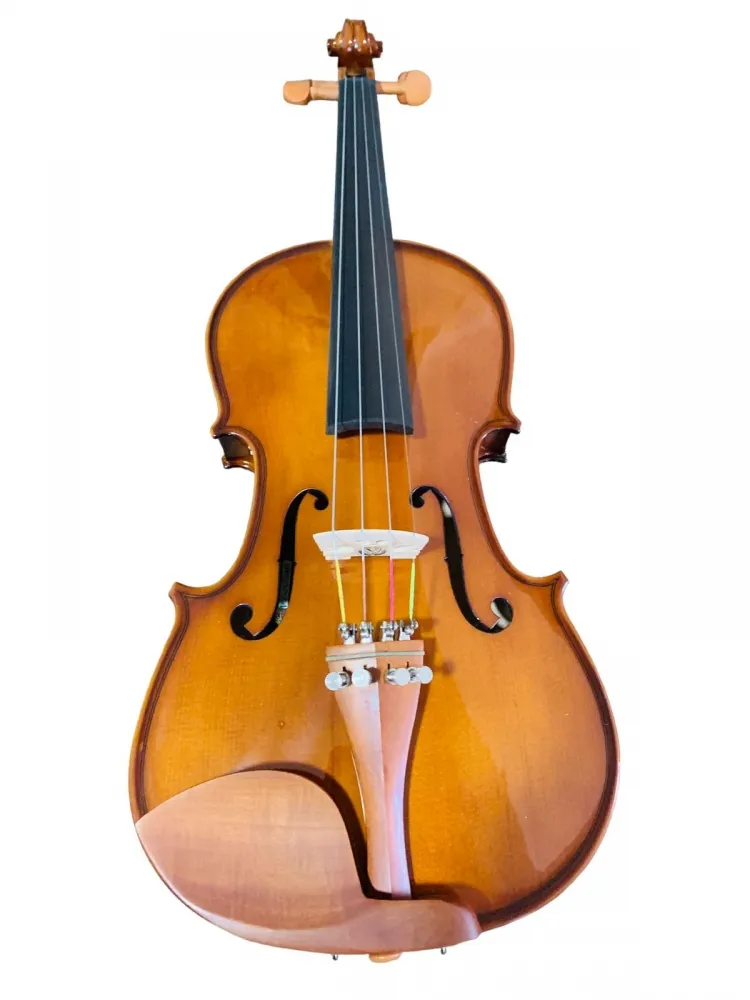 VIOLINO EAGLE VE-441 CLASSIC SERIES - Imagem 3