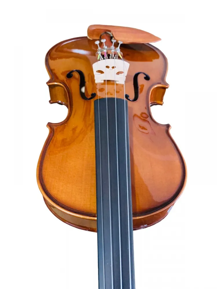 VIOLINO EAGLE VE-441 CLASSIC SERIES - Imagem 4