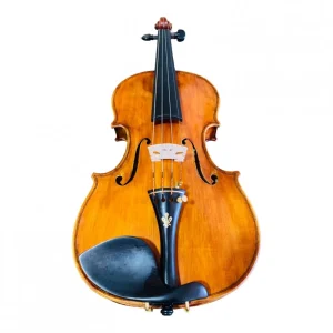 VIOLINO MILENA GOMES CORREA 2022