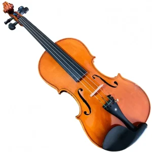 VIOLINO ITALIANO RAPHAELLE GIORDANO 2004
