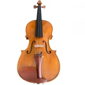 VIOLINO MILENA GOMES CORREA 2021