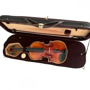 VIOLINO EAGLE VK-844 CONCERTO SERIES