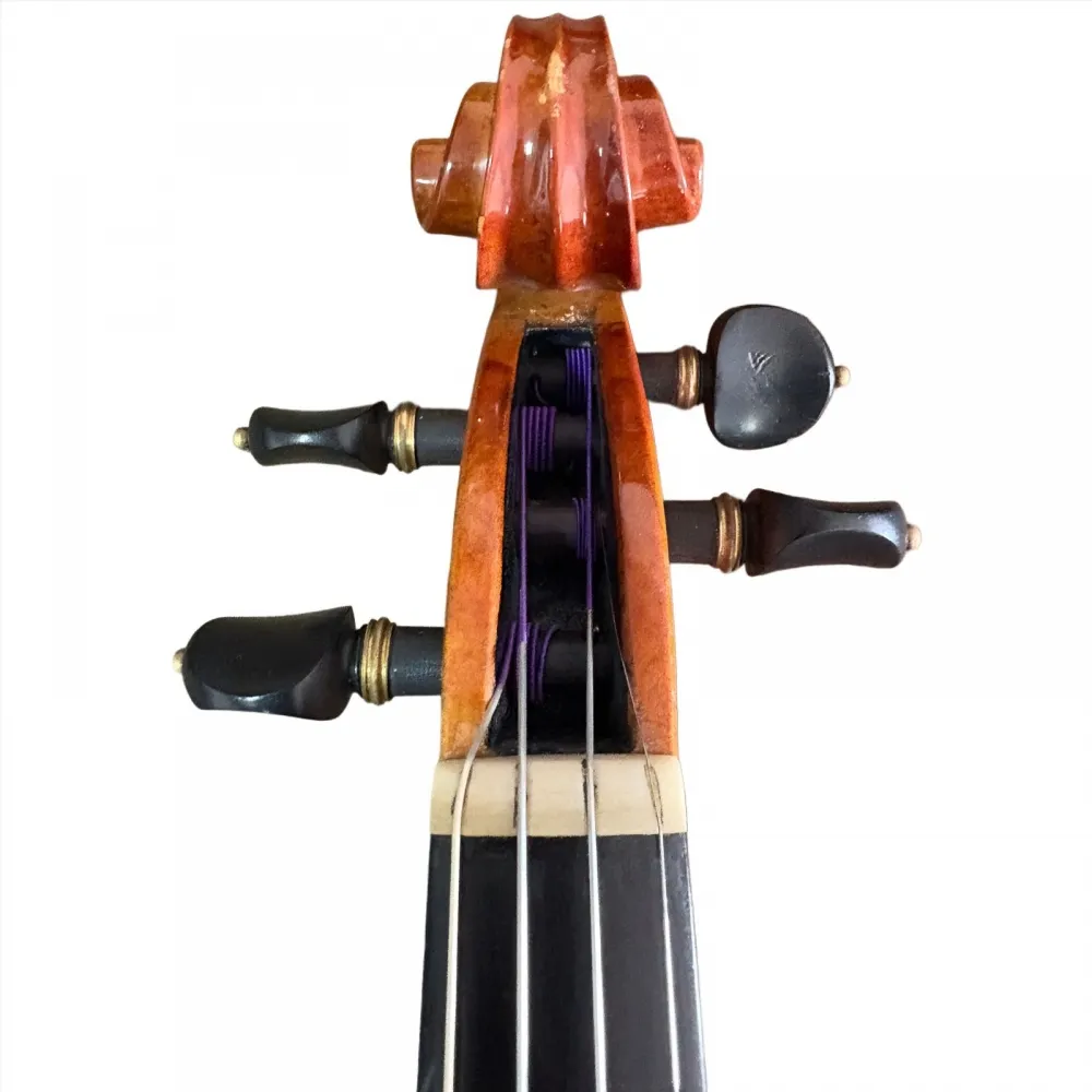 VIOLINO ANTÔNIO GOMES DA SILVA 2019 - Imagem 5