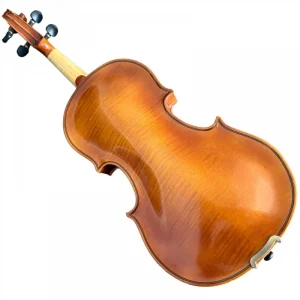 VIOLINO ANTÔNIO GOMES DA SILVA 2019