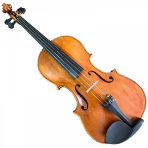 VIOLA GLEICER CARDOSO ANO 2016