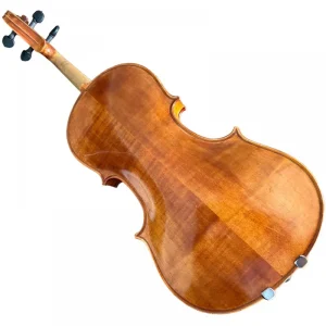 VIOLA GLEICER CARDOSO ANO 2016