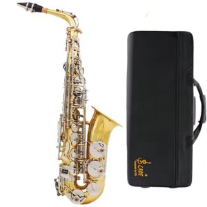 SAXOFONE ALTO SLADE DOURADO E PRATEADO