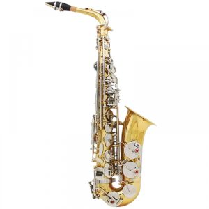 SAXOFONE ALTO SLADE DOURADO E PRATEADO