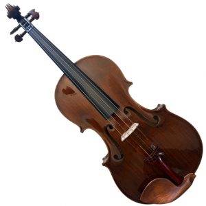 VIOLA WALTER ANDRIOLA 2012