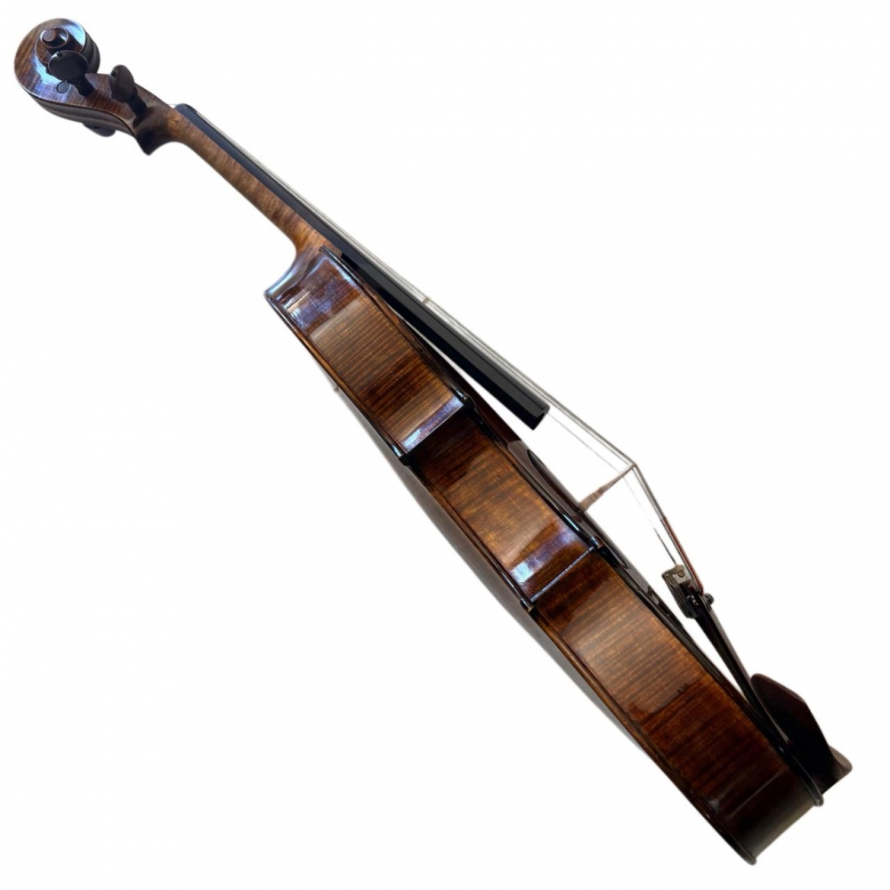 VIOLA WALTER ANDRIOLA 2012 - Imagem 6