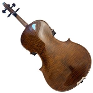 VIOLA WALTER ANDRIOLA 2012
