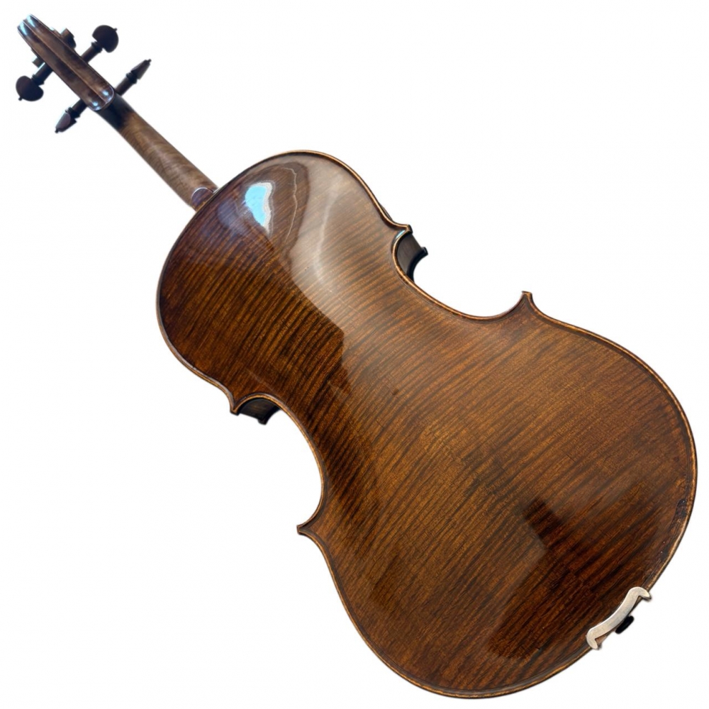 VIOLA WALTER ANDRIOLA 2012 - Imagem 2