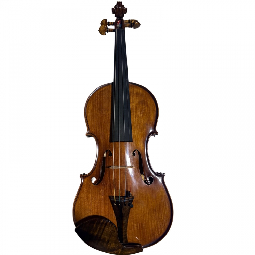 VIOLINO MARCIO MONTEIRO 2025 - Imagem 3