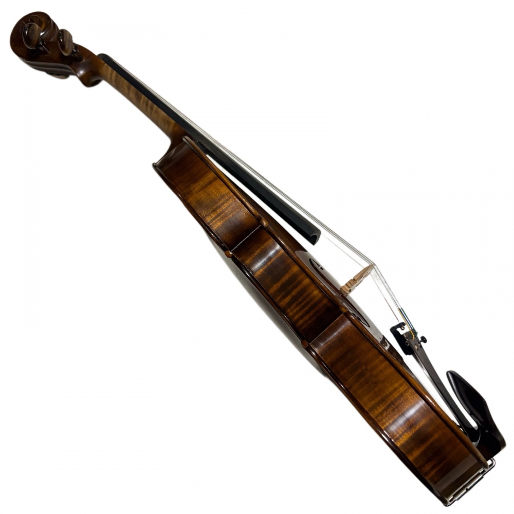 VIOLINO MARCIO MONTEIRO 2025 - Imagem 6