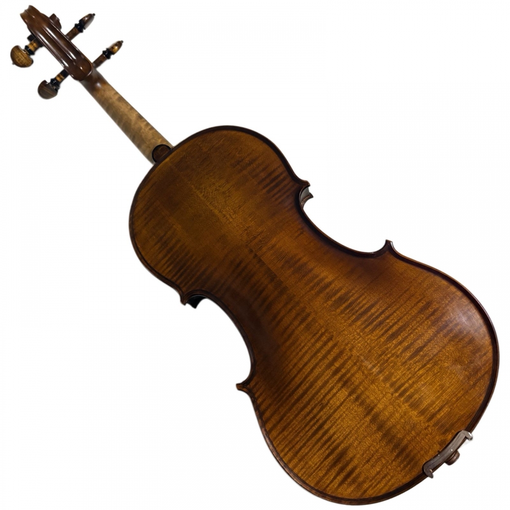 VIOLINO MARCIO MONTEIRO 2025 - Imagem 2