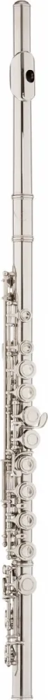 FLAUTA TRANSVERSAL C EAGLE FL03S PRATA